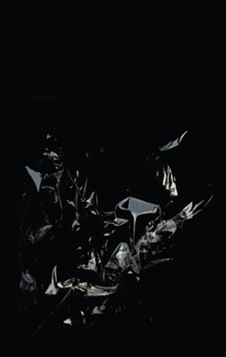 D020 Seth Nehil Tape